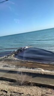 Иллюстрация 1