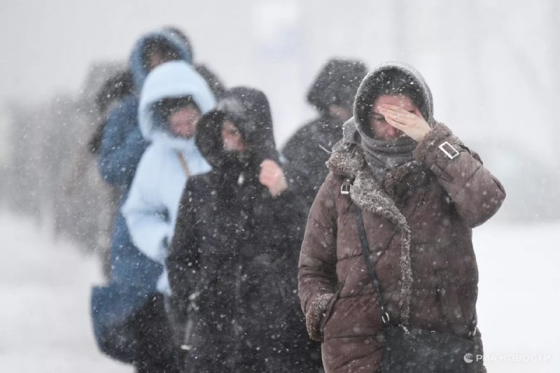 Биолог назвал плюсы апрельского снегопада для аллергиков