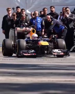 Хвостатый ревизор: уличная кошка вышла на трассу Формулы-1 и затмила пилотов