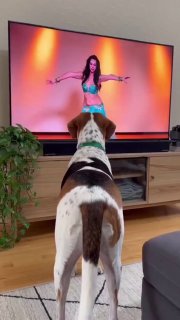 Сегодня — Международный день танца