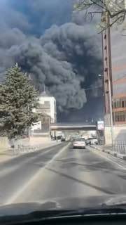 В Туапсе введен режим ЧС из-за массовой гибели дельфинов и последствий ударов по НПЗ