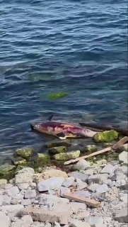 Иллюстрация 4