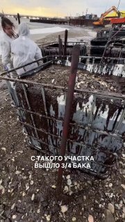 Иллюстрация 2