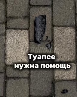 Иллюстрация 1