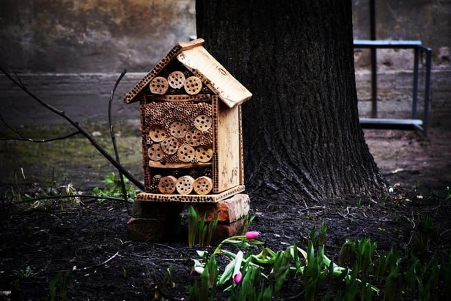 На Васильевском острове построили дом для насекомых