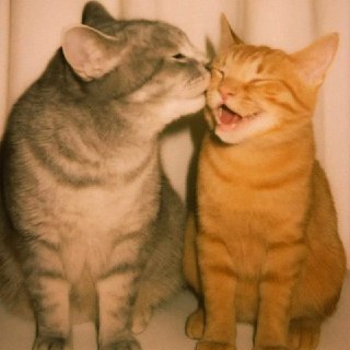 Поцелуи помогают снизить уровень тревожности и стресса