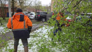 В Раменском убирают упавшие деревья после непогоды