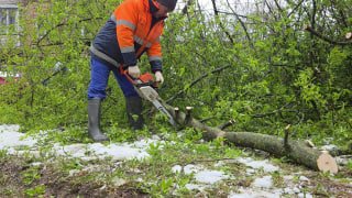 Иллюстрация 1