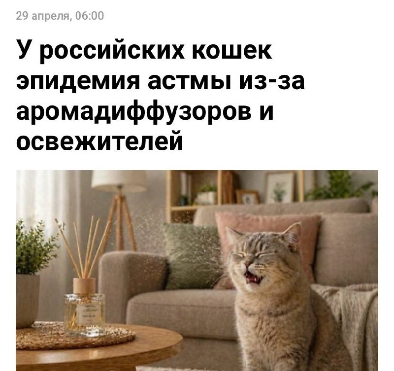 В России началась массовая эпидемия астмы у кошек