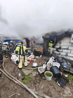 В Нижнем Новгороде при пожаре в пристройке для собак погибло около 200 чихуахуа