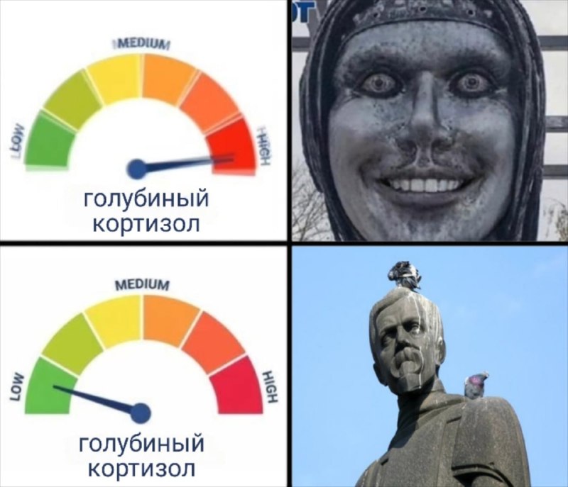 Женщины пугают голубей сильнее мужчин, — учёные