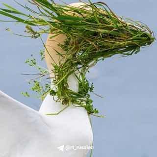 Стали известны снимки финалистов фотоконкурса Comedy Wildlife Awards