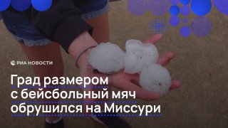 Крупный град в Миссури привел к гибели животного в зоопарке