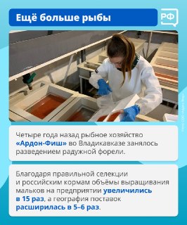 Иллюстрация 2