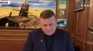 Ирония над словами Залужного о клятве сына вернуть территории