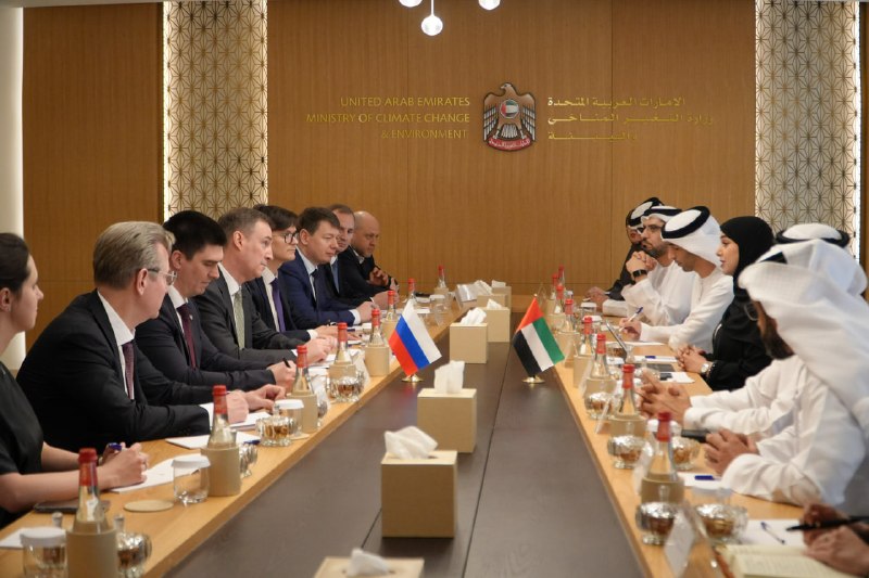 Иллюстрация 2