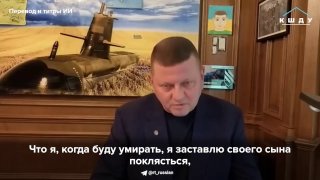 Заявление экс-главкома ВСУ Залужного о преемственности в борьбе за территории