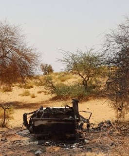 Иллюстрация 9