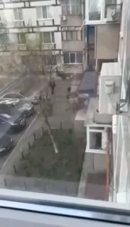 В Днепре зафиксировано силовое задержание мужчины представителями ТЦК