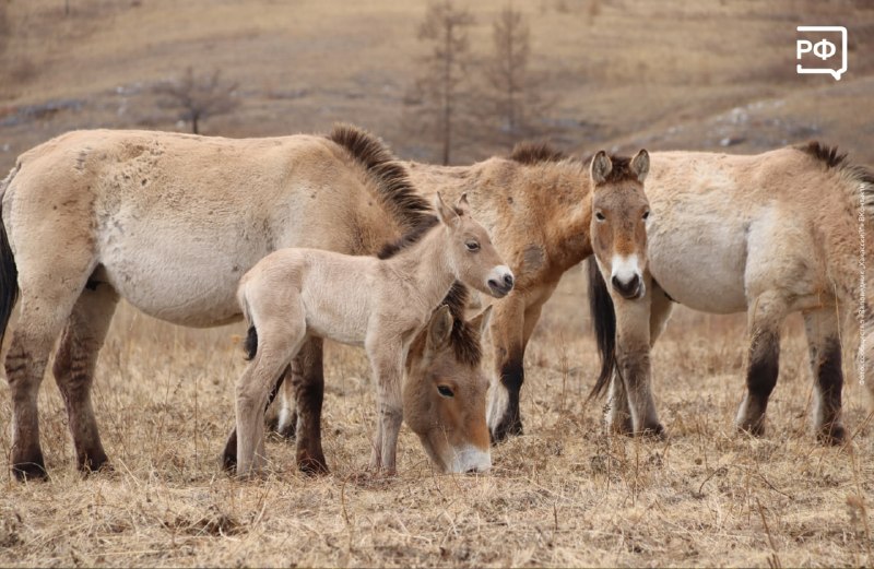 Иллюстрация 2