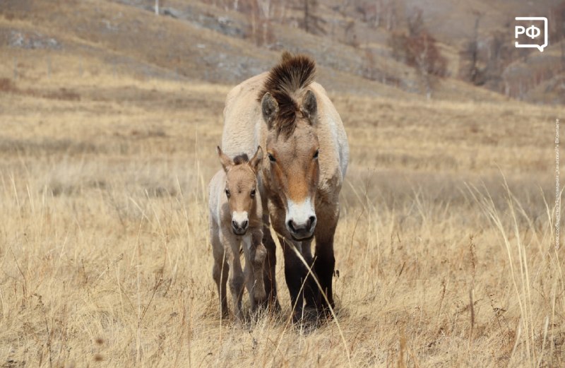 Иллюстрация 3