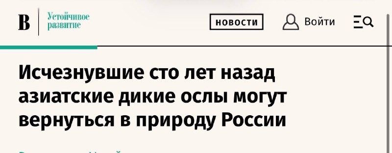 Мнение о присутствии «диких ослов» в общественных организациях