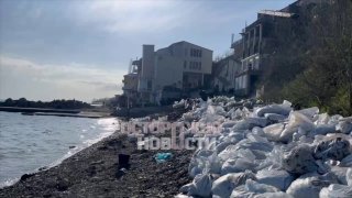 Иллюстрация 1