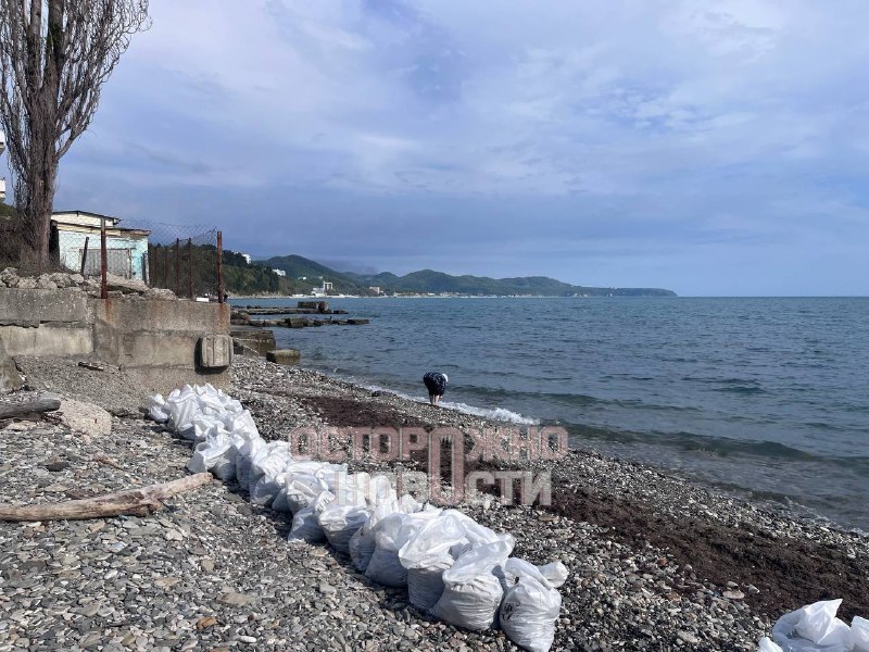 Иллюстрация 5