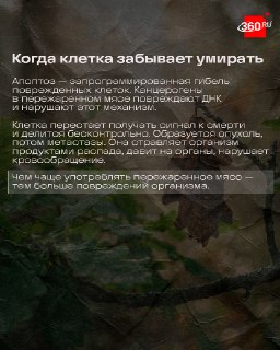 Иллюстрация 4