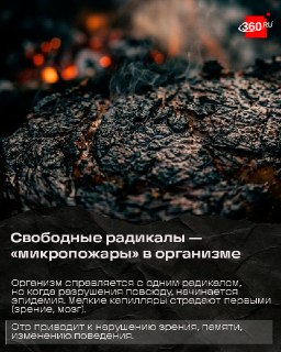 Иллюстрация 5