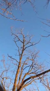 Иллюстрация 2