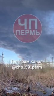 Иллюстрация 5