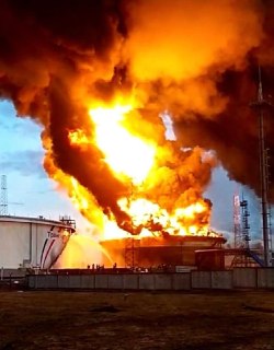 Иллюстрация 7