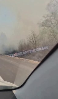 Сильные пожары на полях в Приморье осложняют движение по трассе «Уссури»