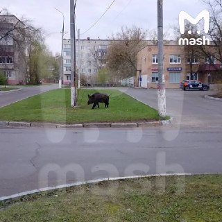 Иллюстрация 2