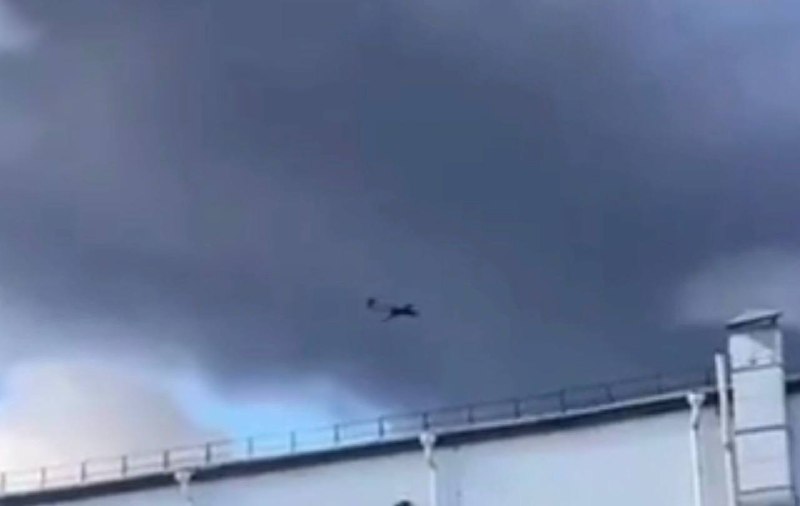 Иллюстрация 5