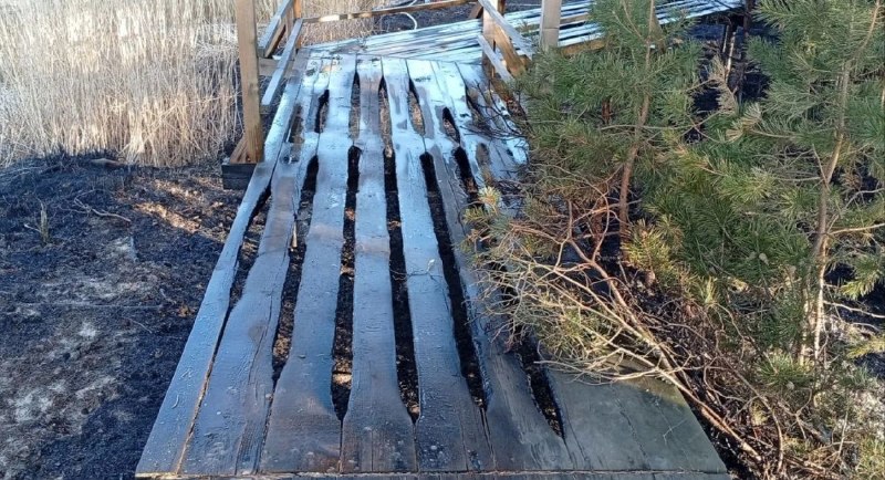 Иллюстрация 4