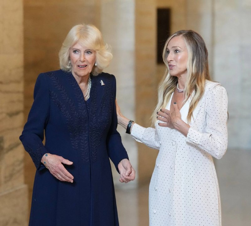 Иллюстрация 5