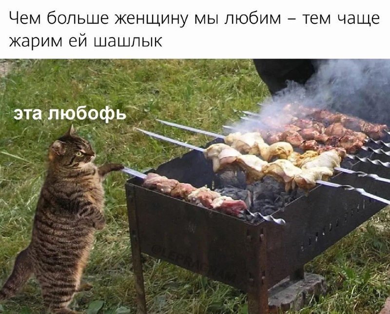 Иллюстрация 3