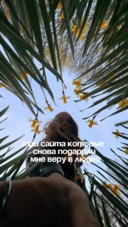 Подборка сайтов для слияния с природой и расслабления
