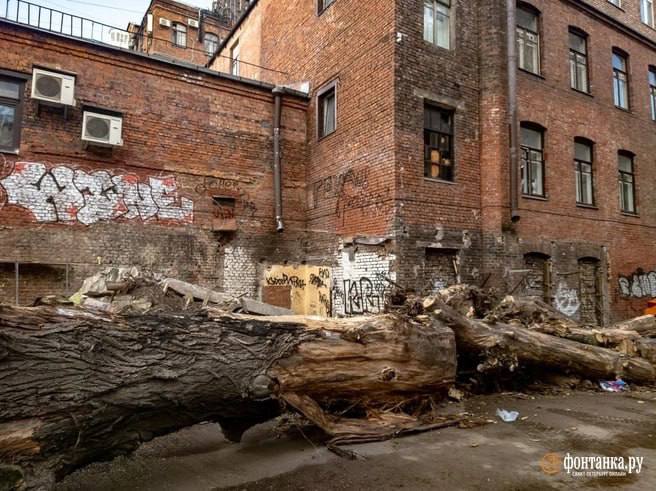 Двор из «Бандитского Петербурга» зачистили