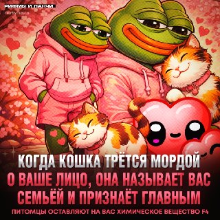 Почему кошки трутся мордочкой о хозяев: научное объяснение
