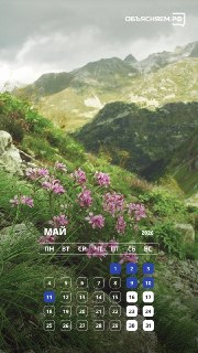Иллюстрация 3