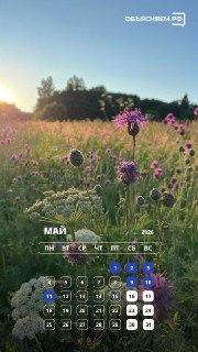 Иллюстрация 6