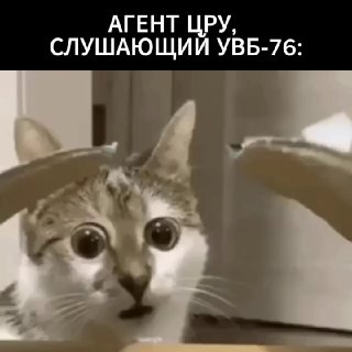 На радиостанции УВБ-76 передали новые зашифрованные сообщения