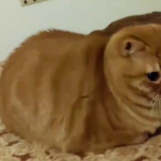 Иллюстрация 2