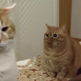 Иллюстрация 4