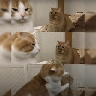 Иллюстрация 9
