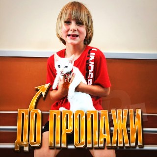 Иллюстрация 2