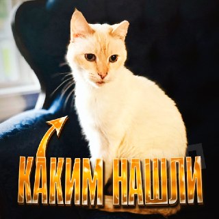 Иллюстрация 3